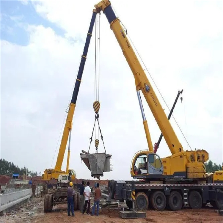 定南小型吊机出租电话|厂房设备吊装方案|24小时服务覆盖